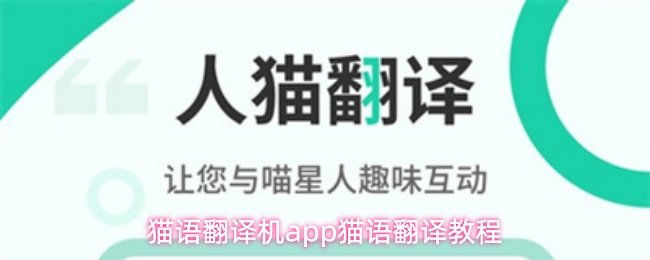 打开猫语翻译机