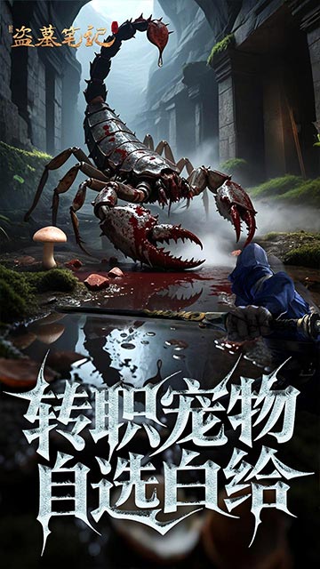 中国如意论坛一资料