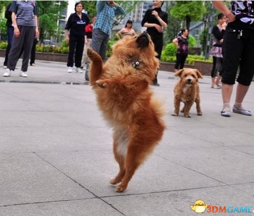 对照阅读100多年后西方反华势力打着