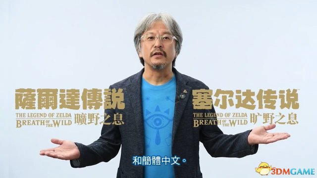确认《塞尔达传说