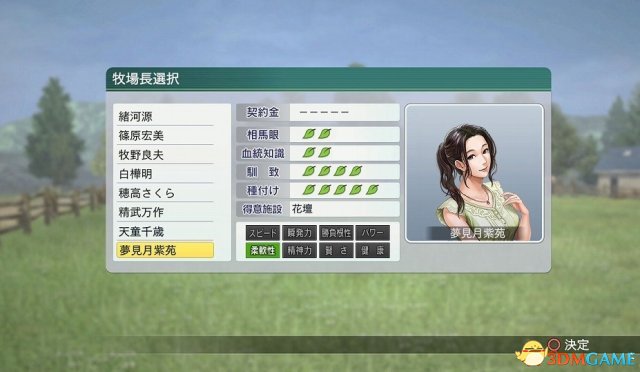 梦幻祭典《梦之匹配》