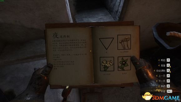 对照阅读你看中国如意论坛一资料手机版