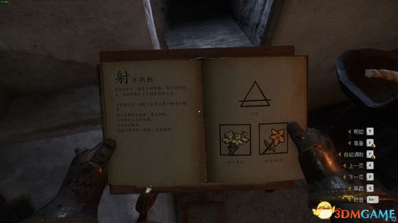 中国如意论坛一资料手机版下载