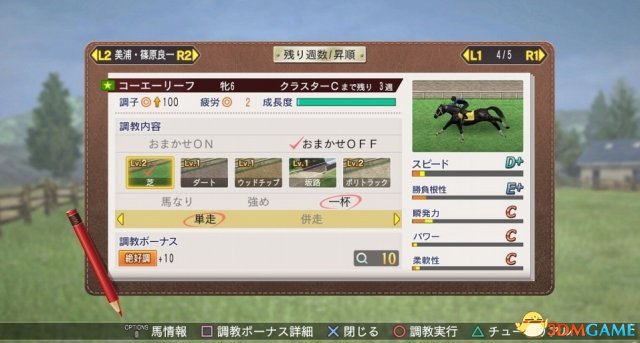 其中包含巅峰赛(The Everes