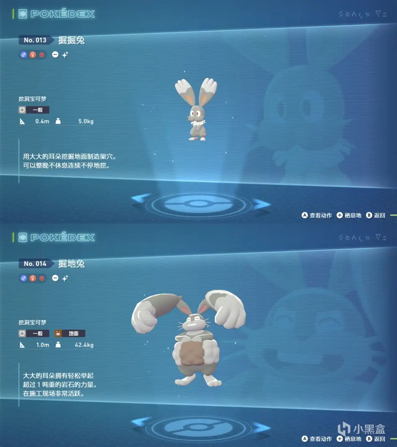 大兔17区卡6坑传送刷新