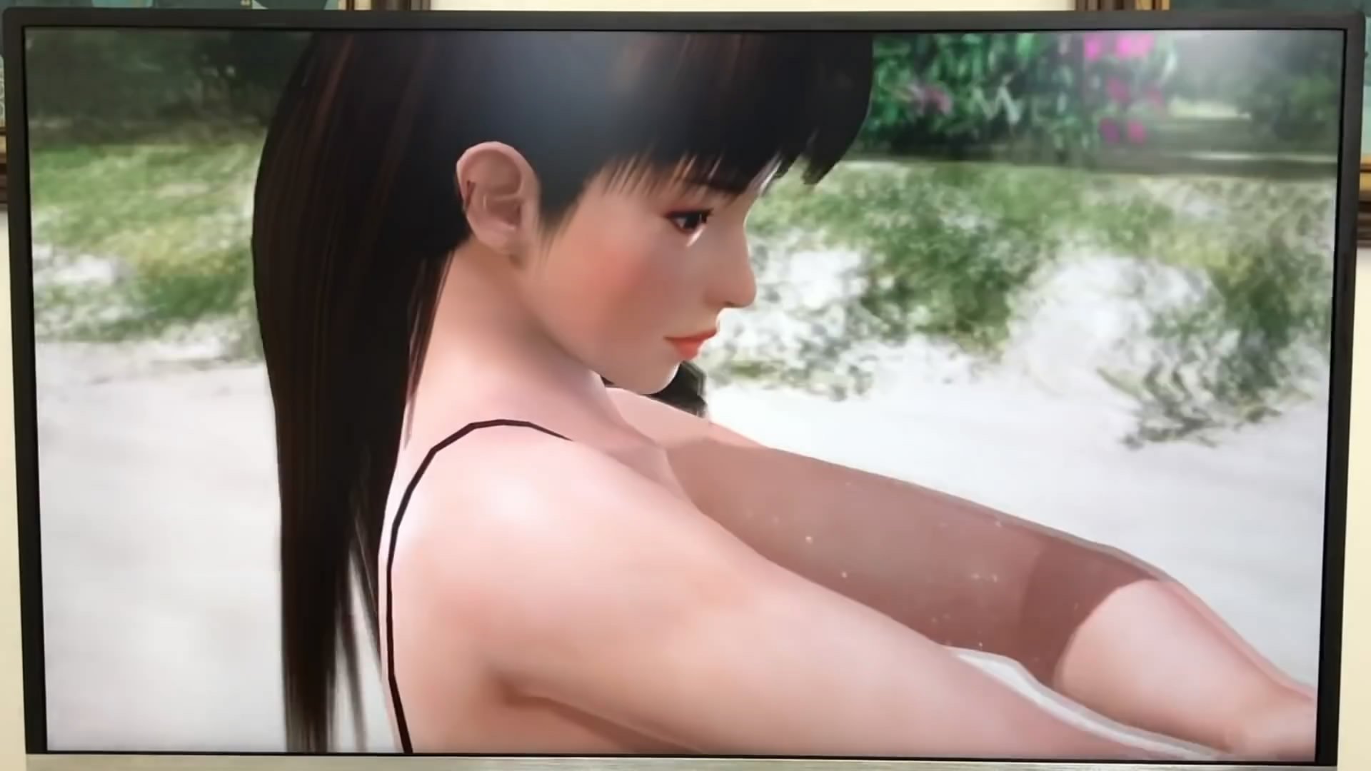 视频欣赏