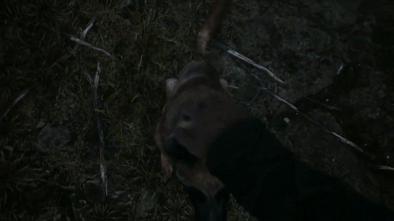 官方公布了一段最新的游戏预告