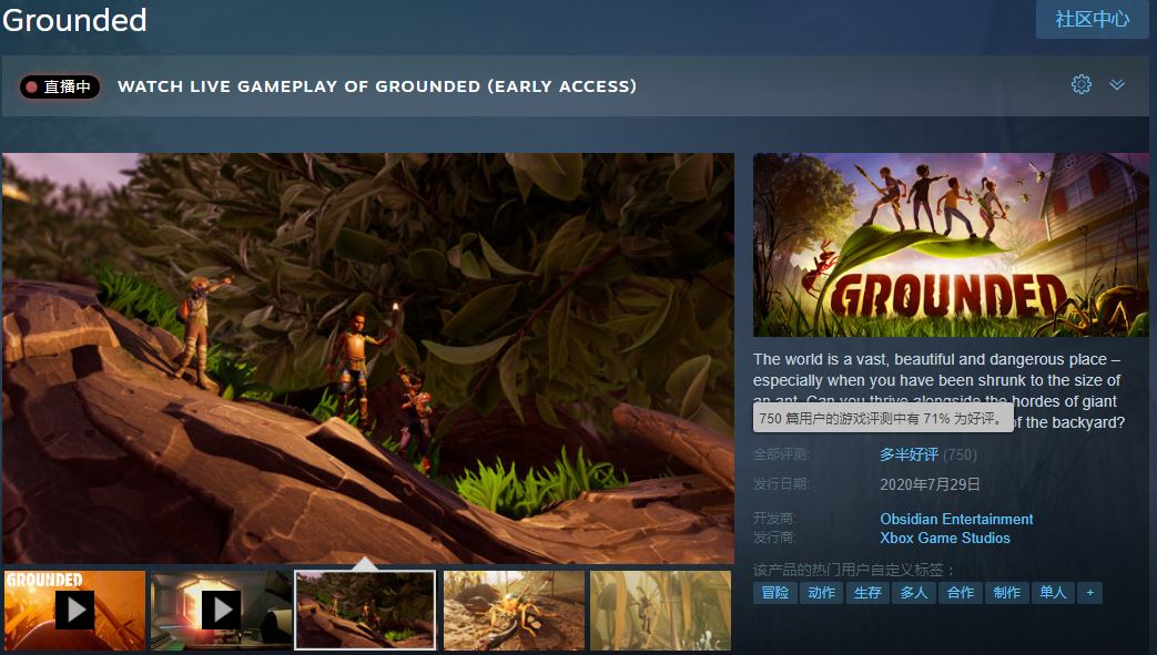 目前该作在Steam口碑一般