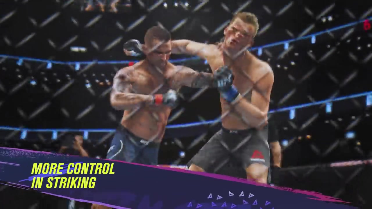 终极格斗冠军赛4（UFC4）