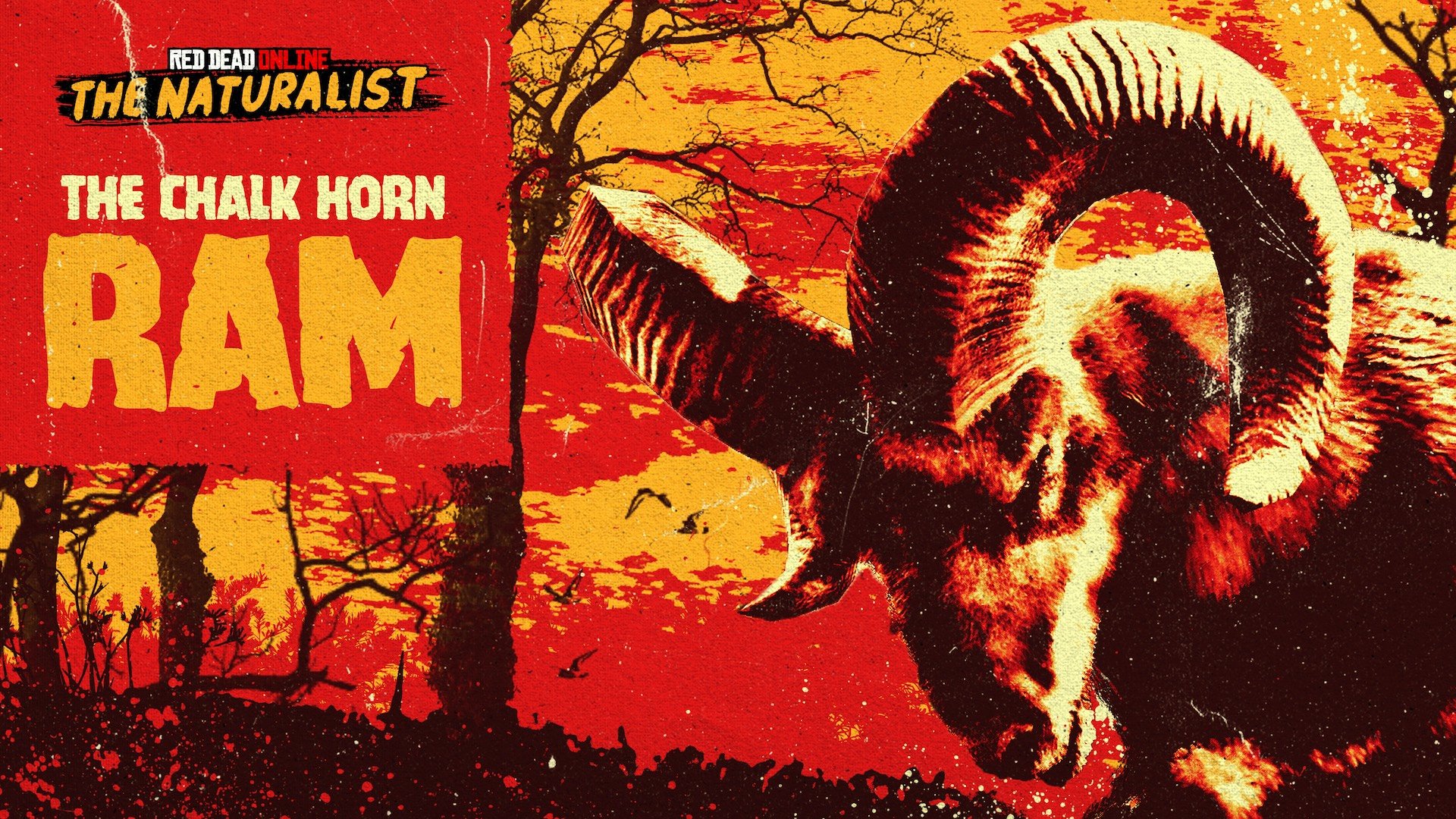 折扣和每日挑战加成