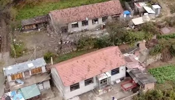 如今各路网红塌房并不稀奇
