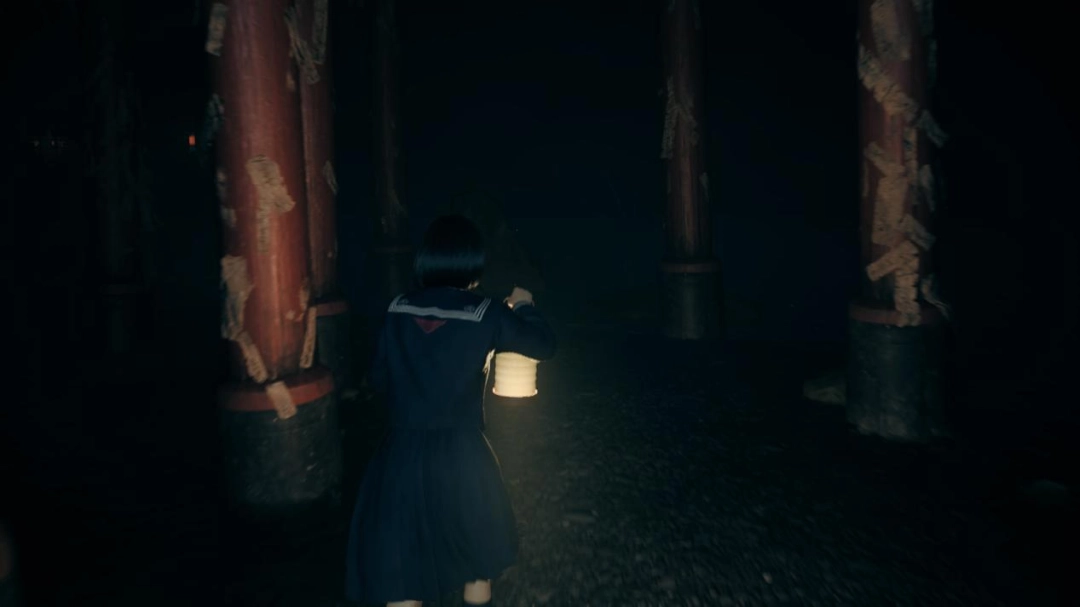 我们当然无法论说