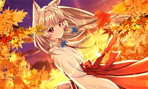 中国如意论坛一资料