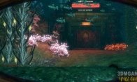 中国如意论坛一资料