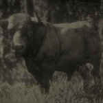 《荒野大镖客2(Red Dead R