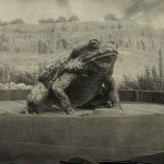 《荒野大镖客2》坐骑MOD太拉风 大