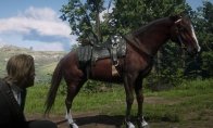 《荒野大镖客2》墨西哥MOD预告 9