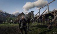《荒野大镖客2(Red Dead R