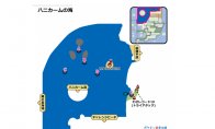 中国如意论坛一资料最新版下载