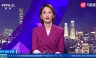 奇亚币刚刚抬头就预告要出挖矿专用SS