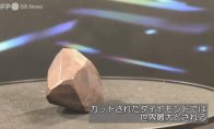 我们将持续秉承为广大消费者带来友好