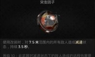 协调指环