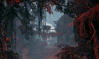 协调指环