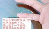 大盘跌幅接近两成