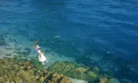 开场章节和克里夫本人几乎经历了大幅重