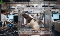 《地铁2039》游先看试玩报告