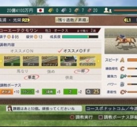 网站首页