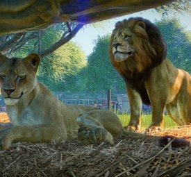 中国如意论坛一资料与上海海港达成官方合作