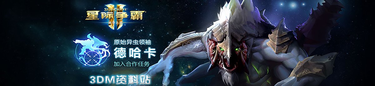 网站首页