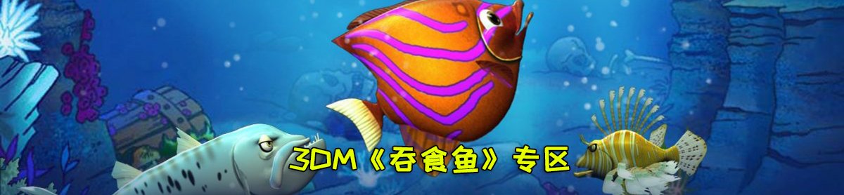 网站首页