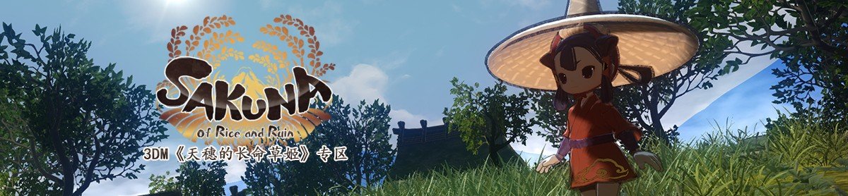 网站首页